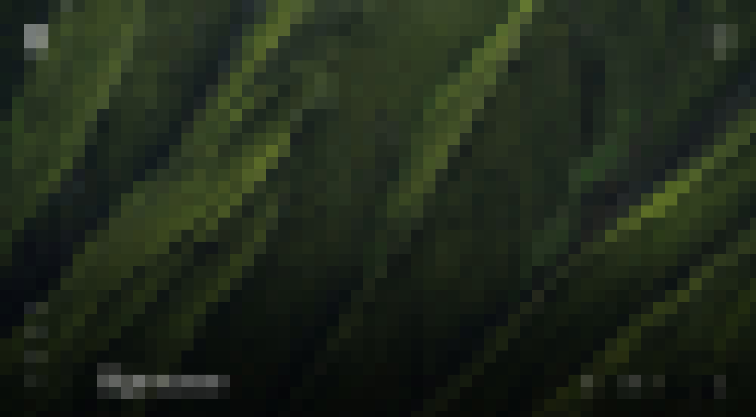 Image Title