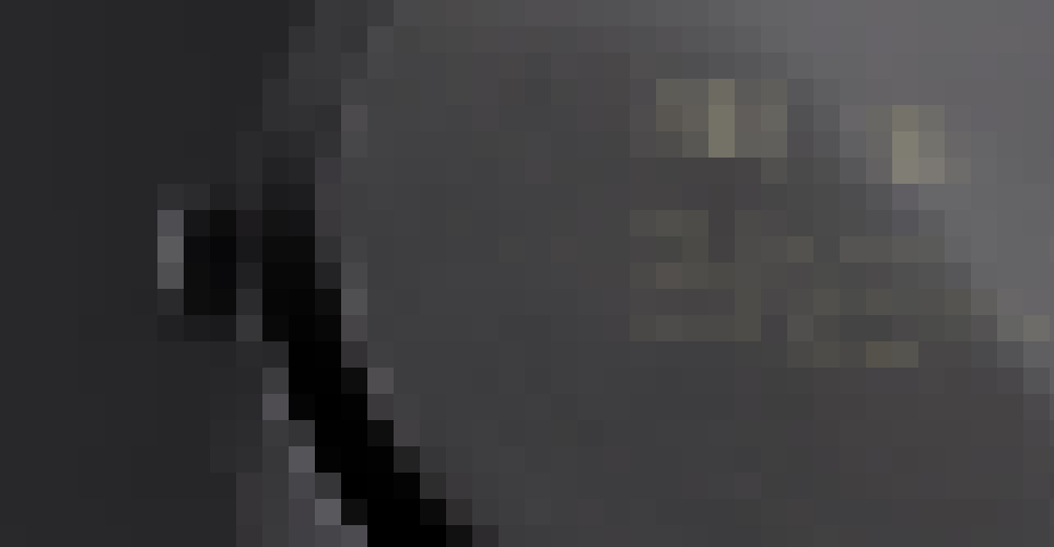 Image Title